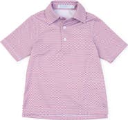 Lila and Hayes Will Boys' Golf Polo Shirt by LH Sport