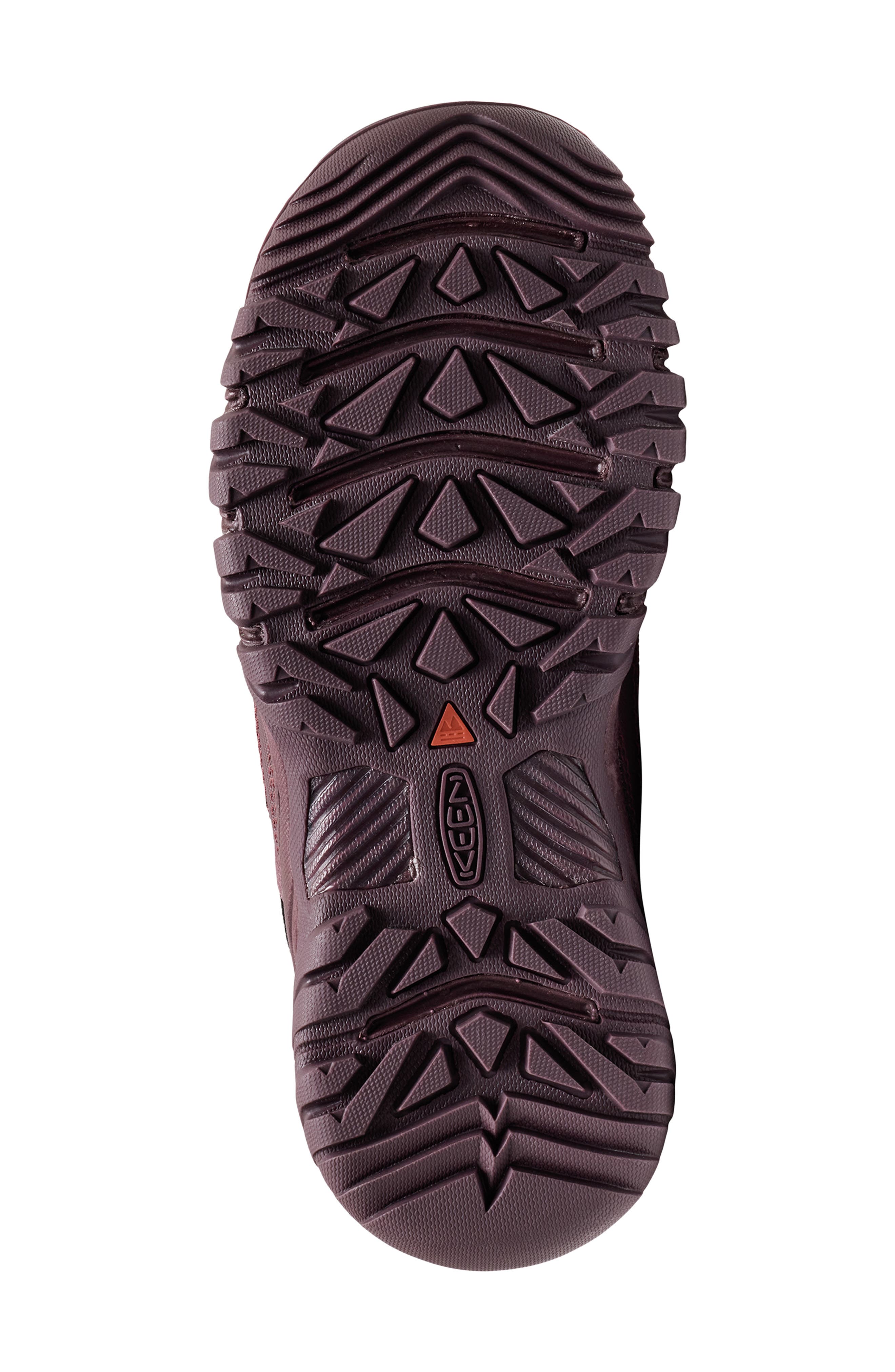 Targhee EXP Waterproof Hiking Shoe, Alternate, color, HUCKLEBERRY