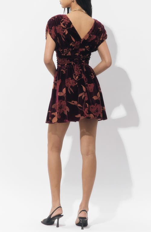 Adelyn Rae Myla Floral Print Ruched Velvet Minidress In Burgundy