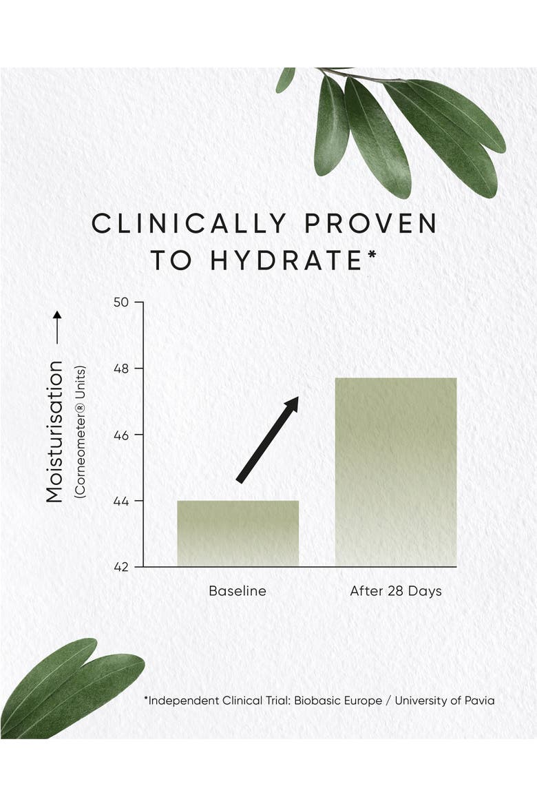Olive Hydrating Eye Cream, Alternate, color, none