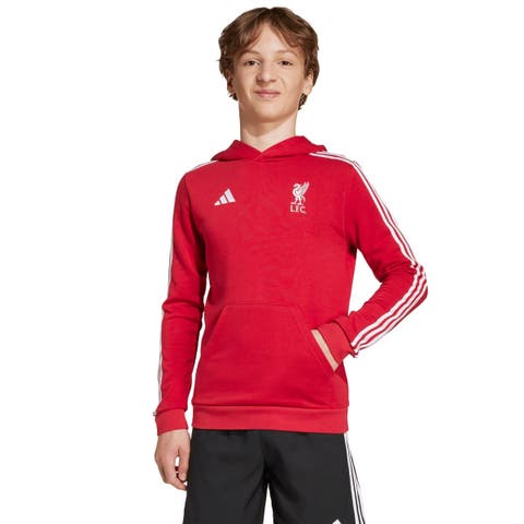 Youth adidas Red Liverpool DNA Hoodie