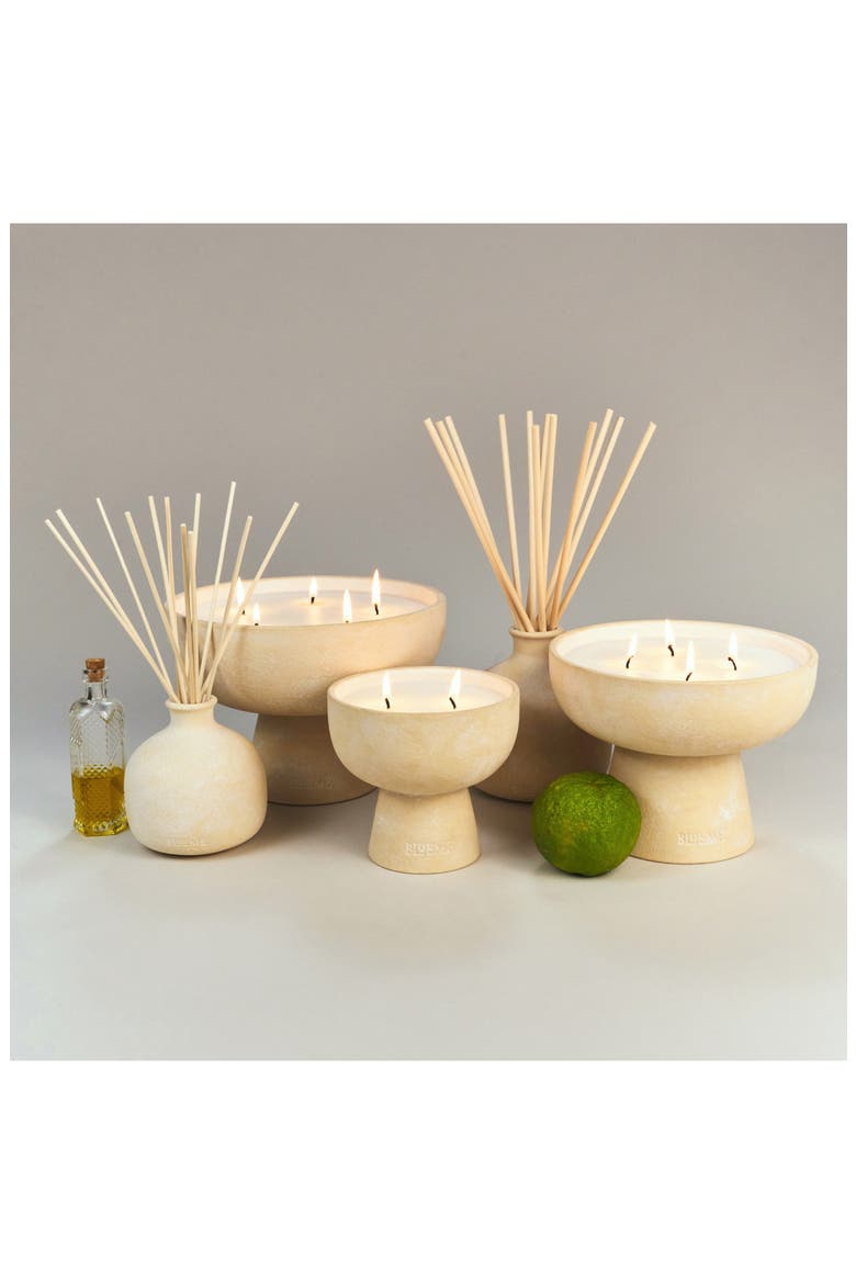 Nostalgia Small Ceramic Reed Diffuser, Alternate, color, NOSTALGIA