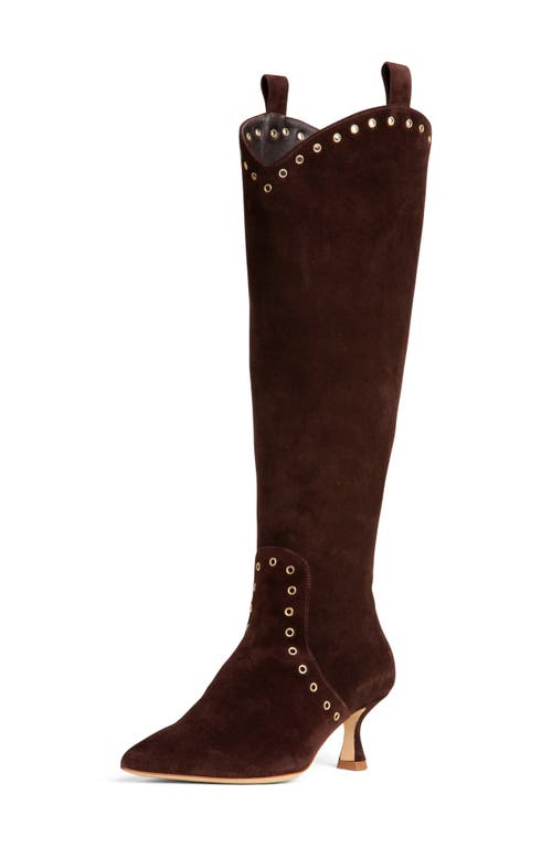 Beautiisoles Vanessa Pointed Toe Tall Boot In Brown