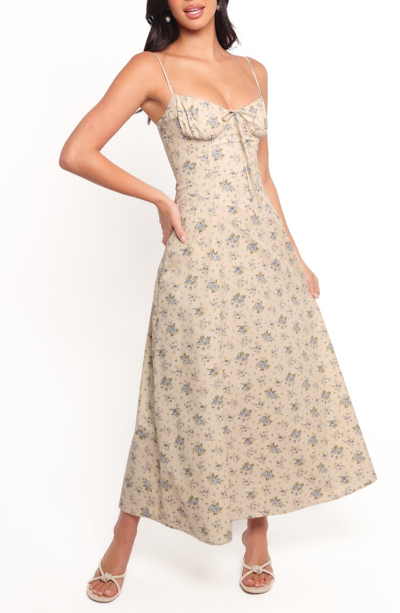 Petal & Pup Tiarna Lace Up Back Sleeveless Maxi Dress, Main, color, Blue Floral