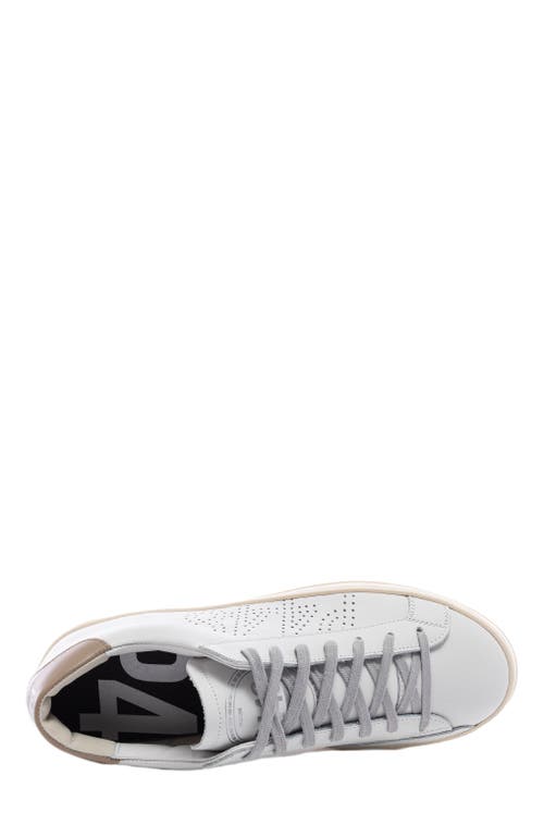 P448 John Sneaker In Multi