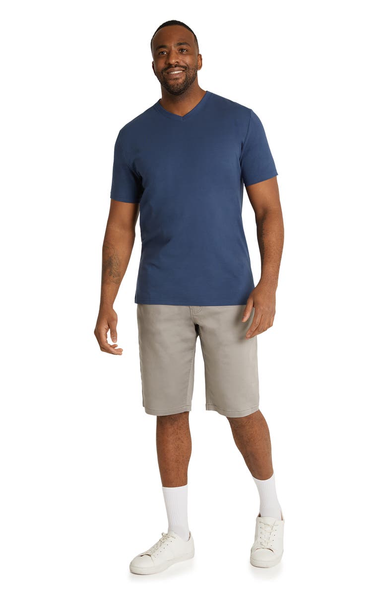 Johnny Bigg Ferris Stretch Cotton Blend Shorts, Alternate, color,