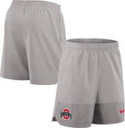 Nike Men's Nike Gray Ohio State Buckeyes 2025 Sideline Dri-FIT Shorts
