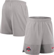 Nike Men's Nike Gray Ohio State Buckeyes 2025 Sideline Dri-FIT Shorts