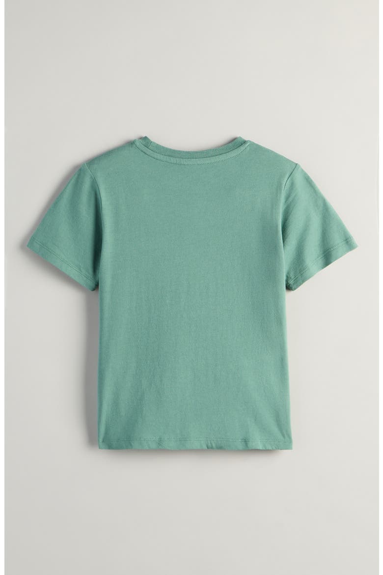 Graphic Cotton T-Shirt, Alternate, color, HOT WHEELS MYSTIC GREEN