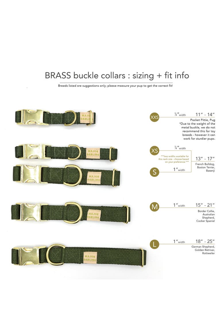 Brass Snap Collar and Leash Set, Alternate, color, Black