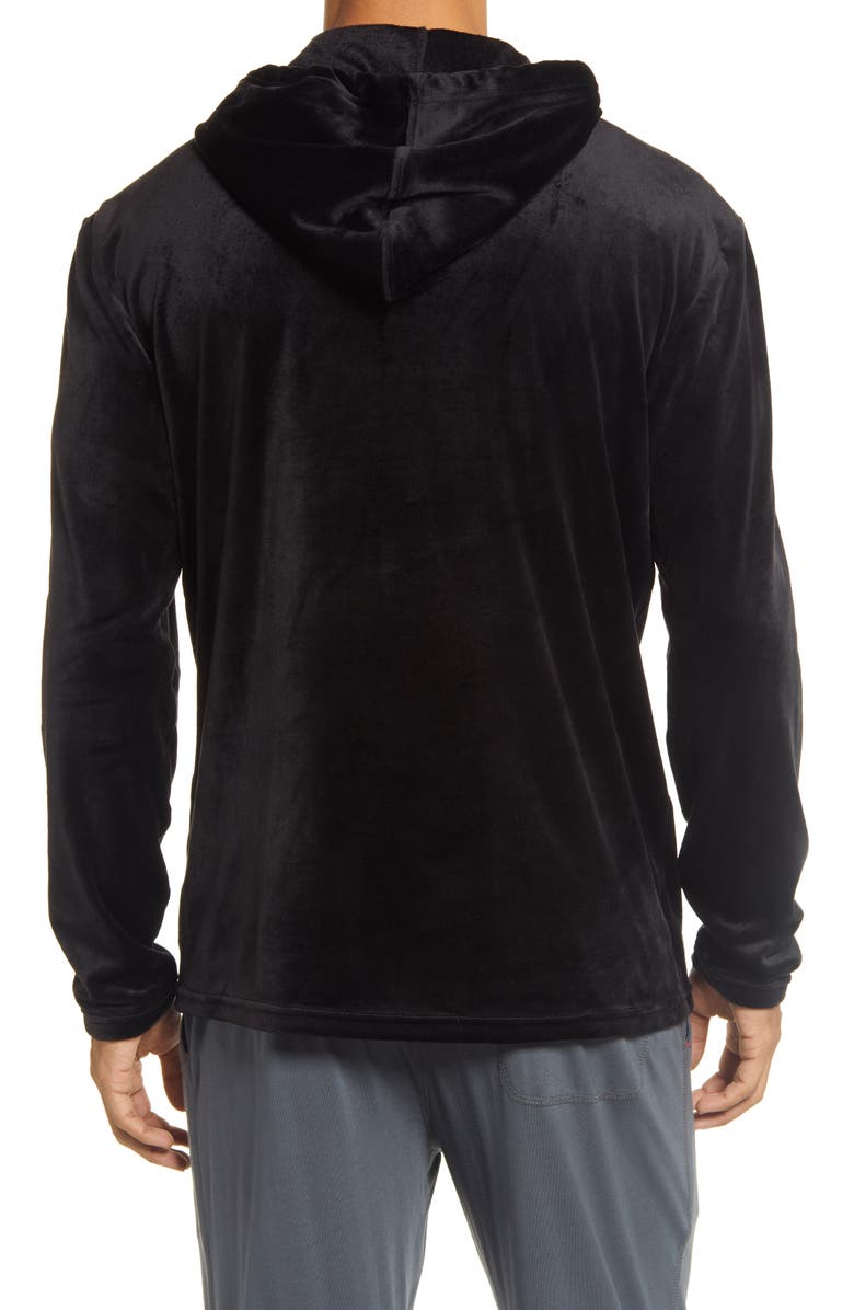Polo Ralph Lauren Velour Hoodie, Alternate, color,