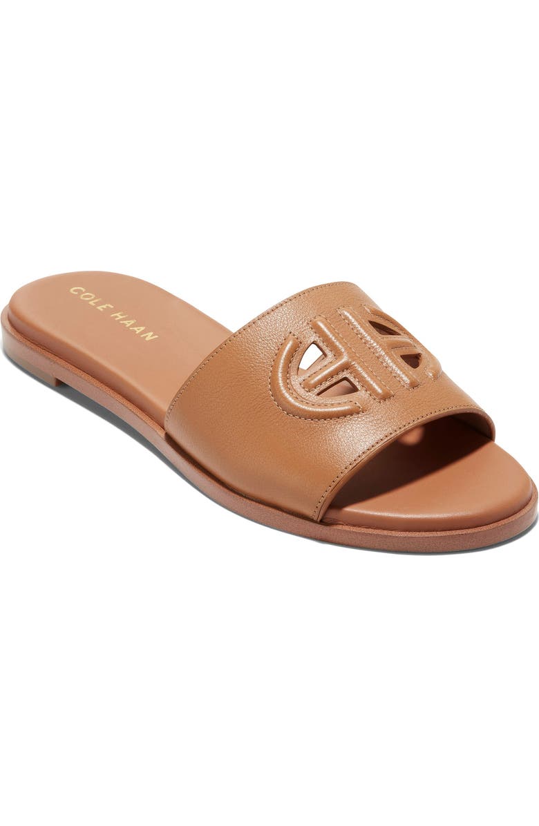 Cole Haan Flynn Logo Slide Sandal, Main, color, Pecan Leather