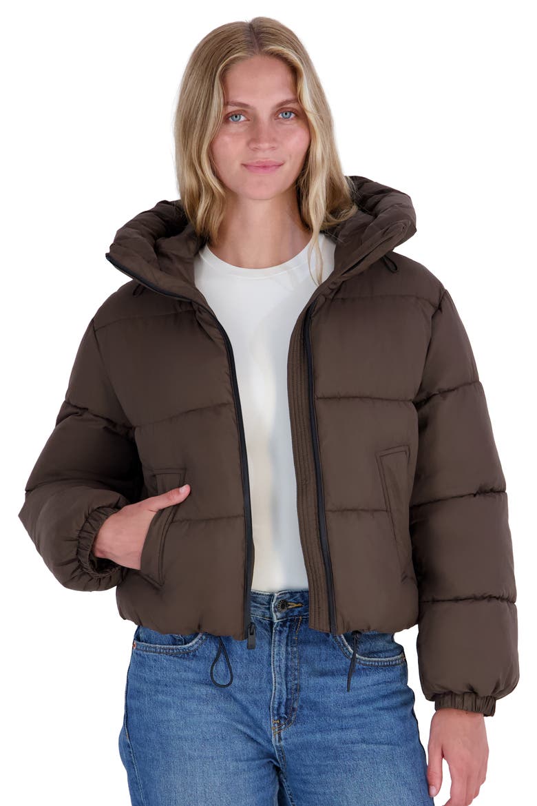 Audrey Hooded Puffer Jacket, Alternate, color, S10