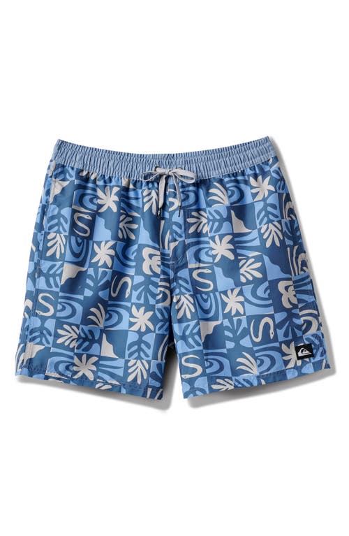 Quiksilver Everyday 17" Terra Swim Trunks In Blue
