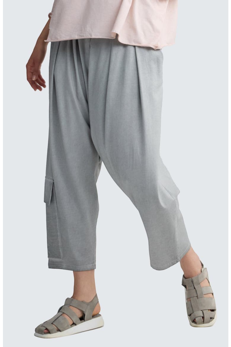 Liore Garment-Dyed V-Shape Pants, Main, color, Ash Grey