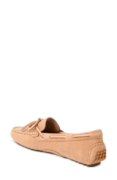 Jack Rogers Shore Driving Loafer In Toast
