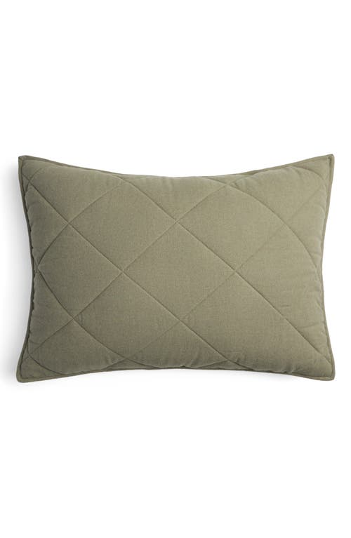 Parachute Set Of 2 Quilted Flannel Pillow Shams In Green