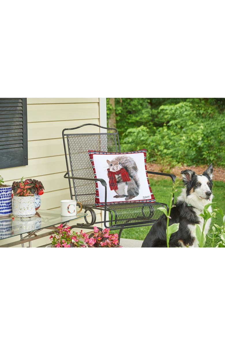 C&F Home Christmas Squirrel Wearing Scarf Plaid Indoor/Outdoor Accent Throw Pillow 18" x 18", Alternate, color, Red