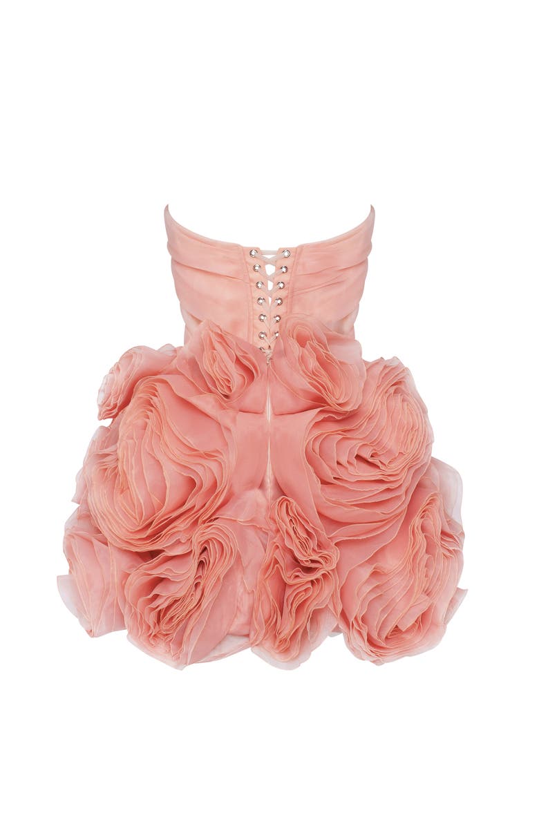 Milla Appliquéd Organza Coral Mini Dress, Alternate, color, 