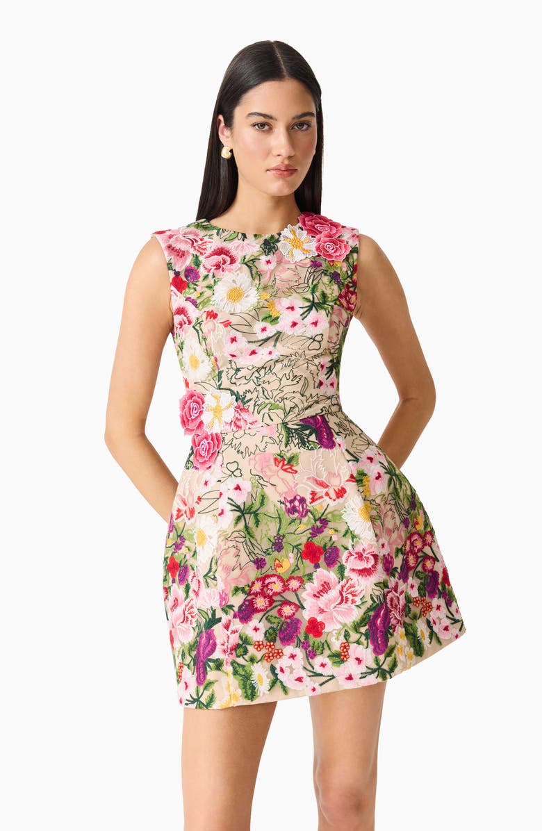 Elliatt Floral Embroidered Tulip Skirt Minidress, Alternate, color, Nude Multi Floral