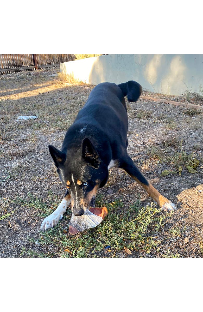 ICELANDIC+ Pig Ear Handwrapped In Cod Skin Dog Treat, Alternate, color,