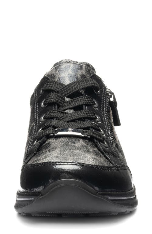 Ara Oleanna Zip Sneaker In Multi