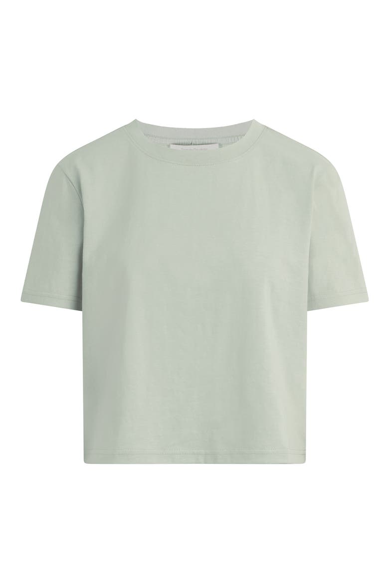 The Favorite T-Shirt, Alternate, color, LIGHT SAGE