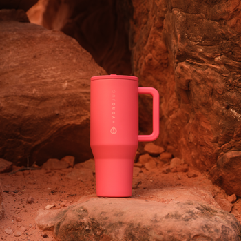 Traveler - Leakproof Water Bottle with Handle & Flip Straw 32oz