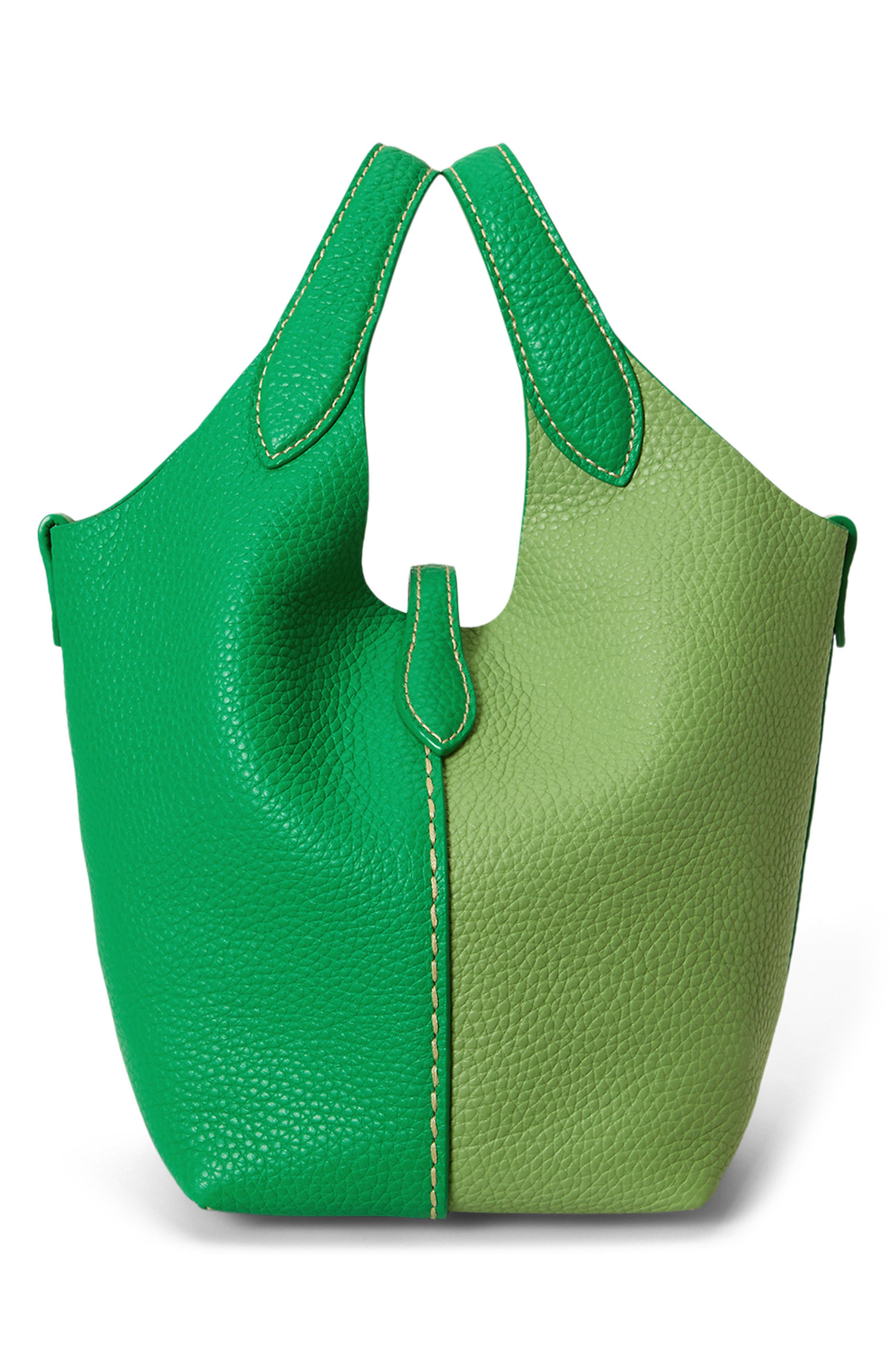 Polo Ralph Lauren Polo Play Leather Crossbody Bag, Alternate, color, Parrot/ Parakeet