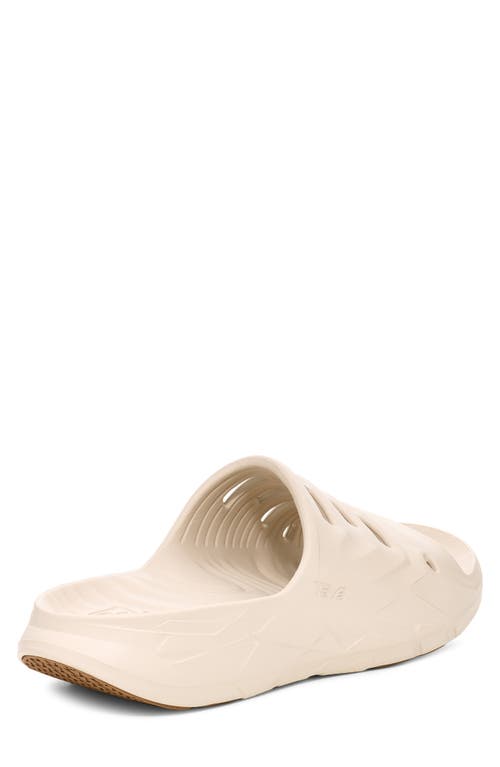 Teva Apretrail Slide Sandal In Birch