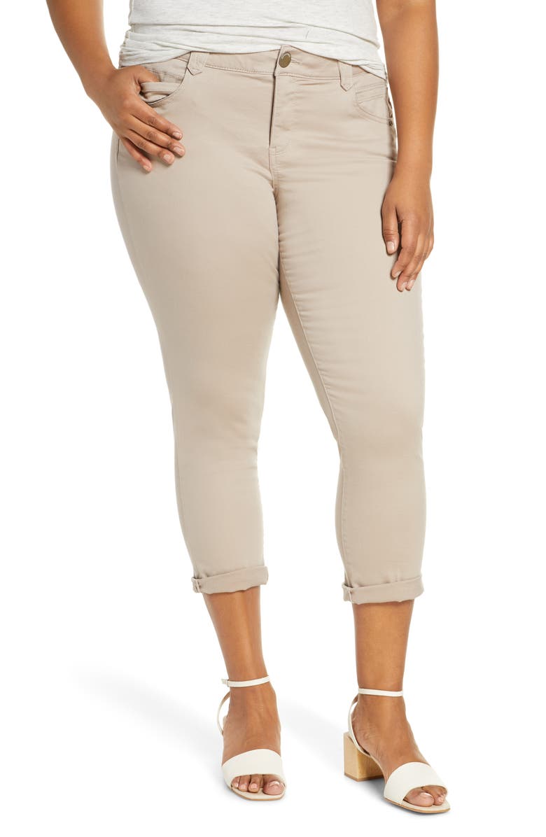 Democracy Ab-Solution Ankle Skimmer Jeans, Main, color, 