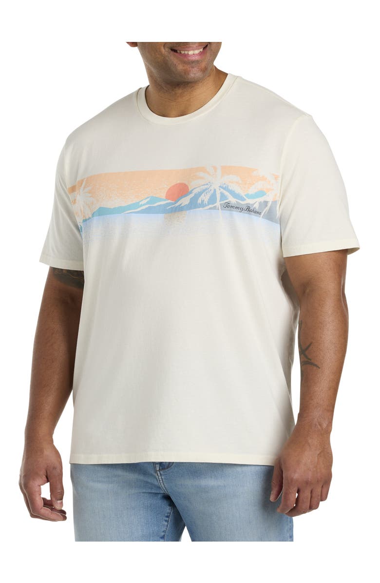 Tommy Bahama Big & Tall Sunset Hour Graphic Tee, Main, color,