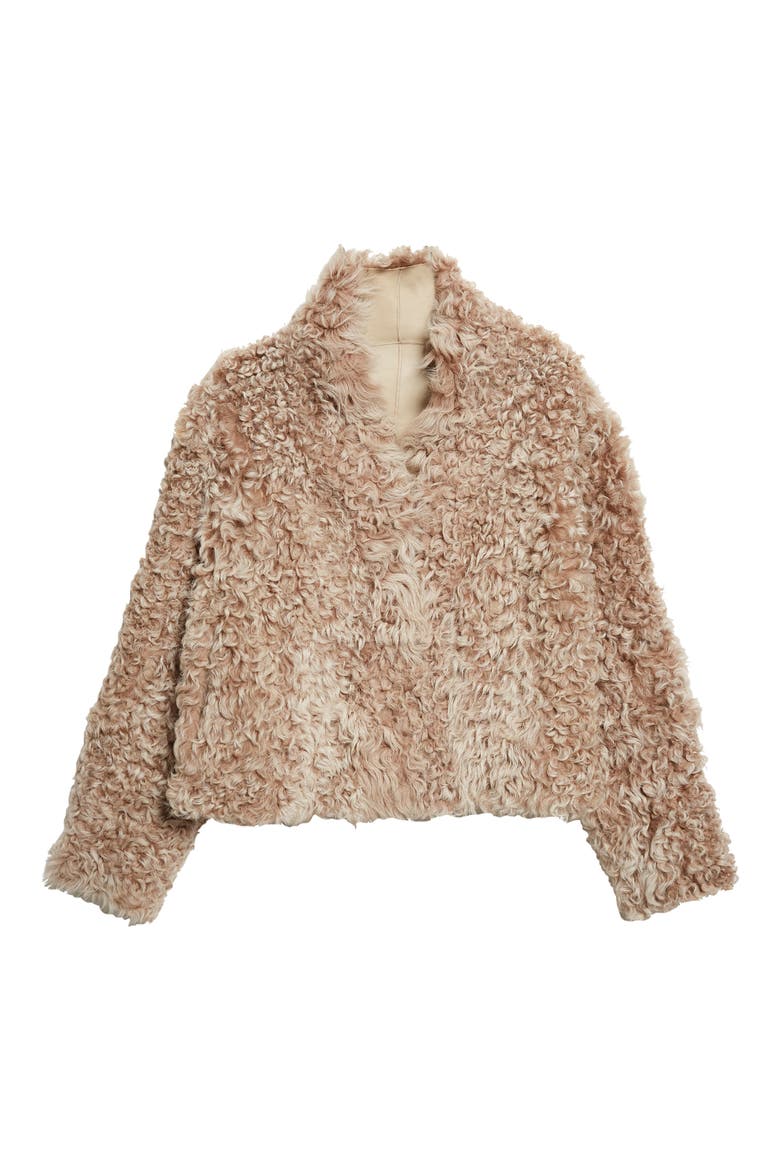 Mooneyforest Vega Genuine Shearling Jacket, Alternate, color, CAMEL