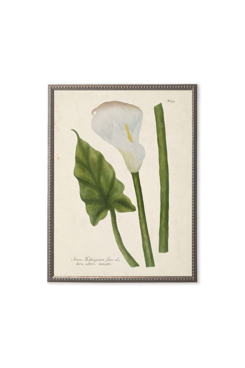 White Flower, Leaf, and Stem in Silver-Beaded Frame, Main, color, Multi