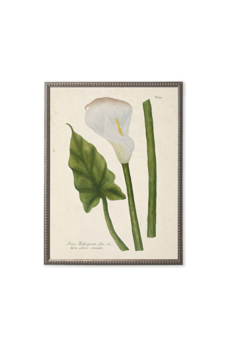 Antique Curiosities White Flower, Leaf, and Stem in Silver-Beaded Frame, Main, color, Multi