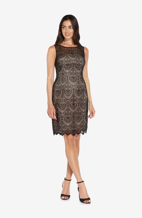 Adrianna Papell Scallop Guipure Lace Sheath Dress In Multi
