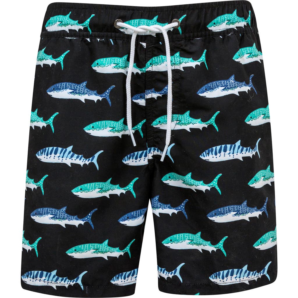 Snapper Rock Shark Swim Trunks In Black Multi