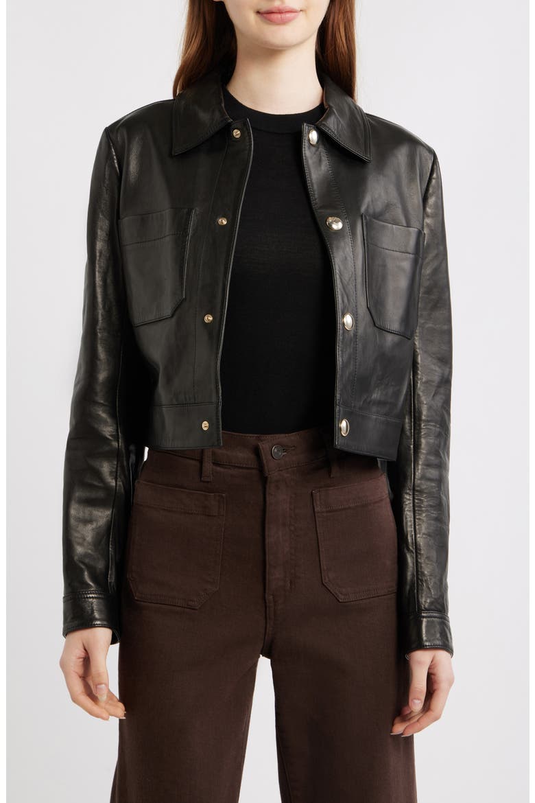 The Small Crop Leather Jacket, Alternate, color, BLACK