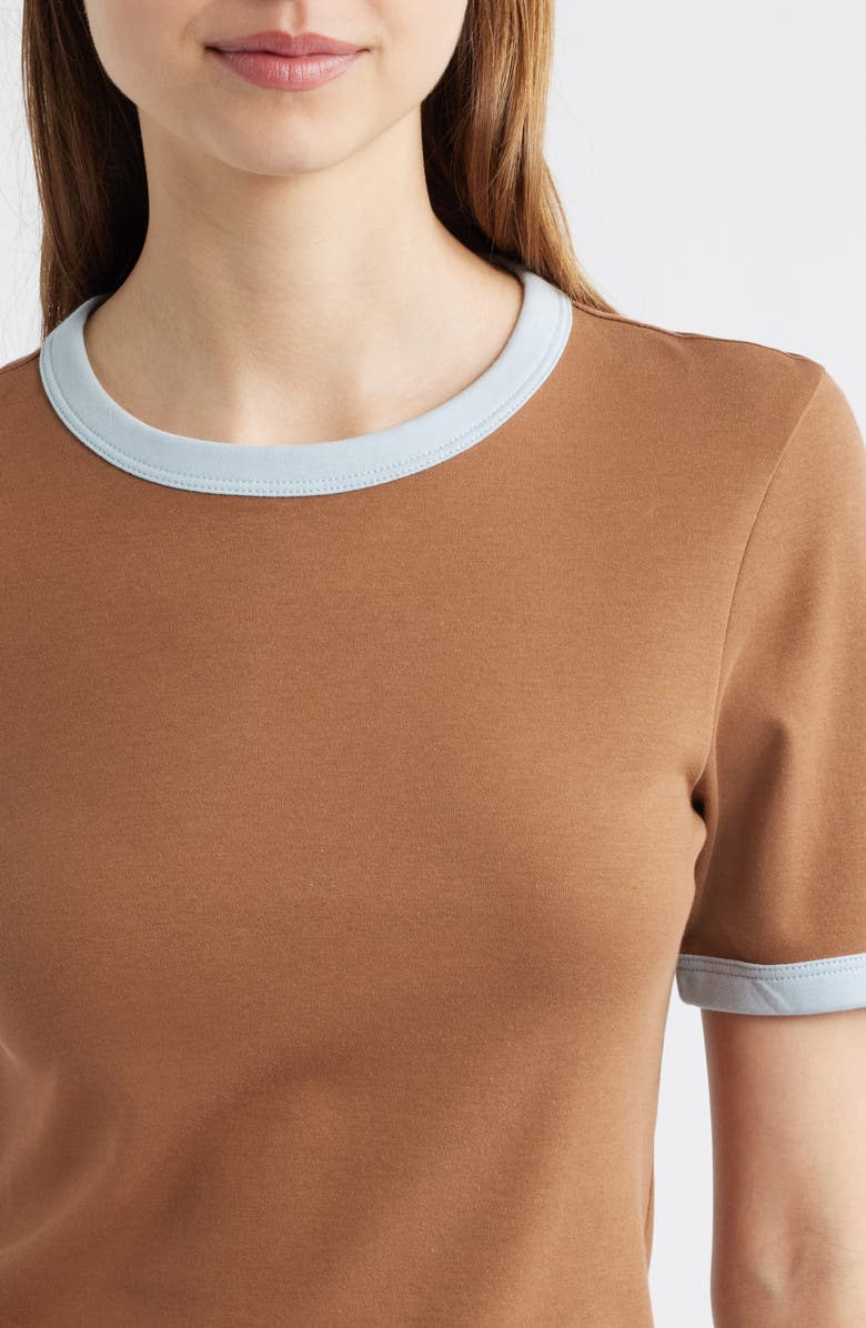 rag & bone Mia Cotton Ringer T-Shirt, Alternate, color, Brown Multi