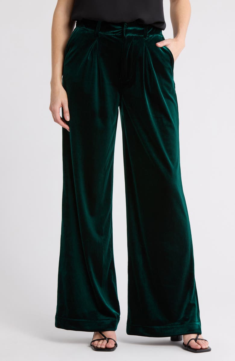 BLANKNYC Pleated Velvet Wide Leg Pants, Main, color, 