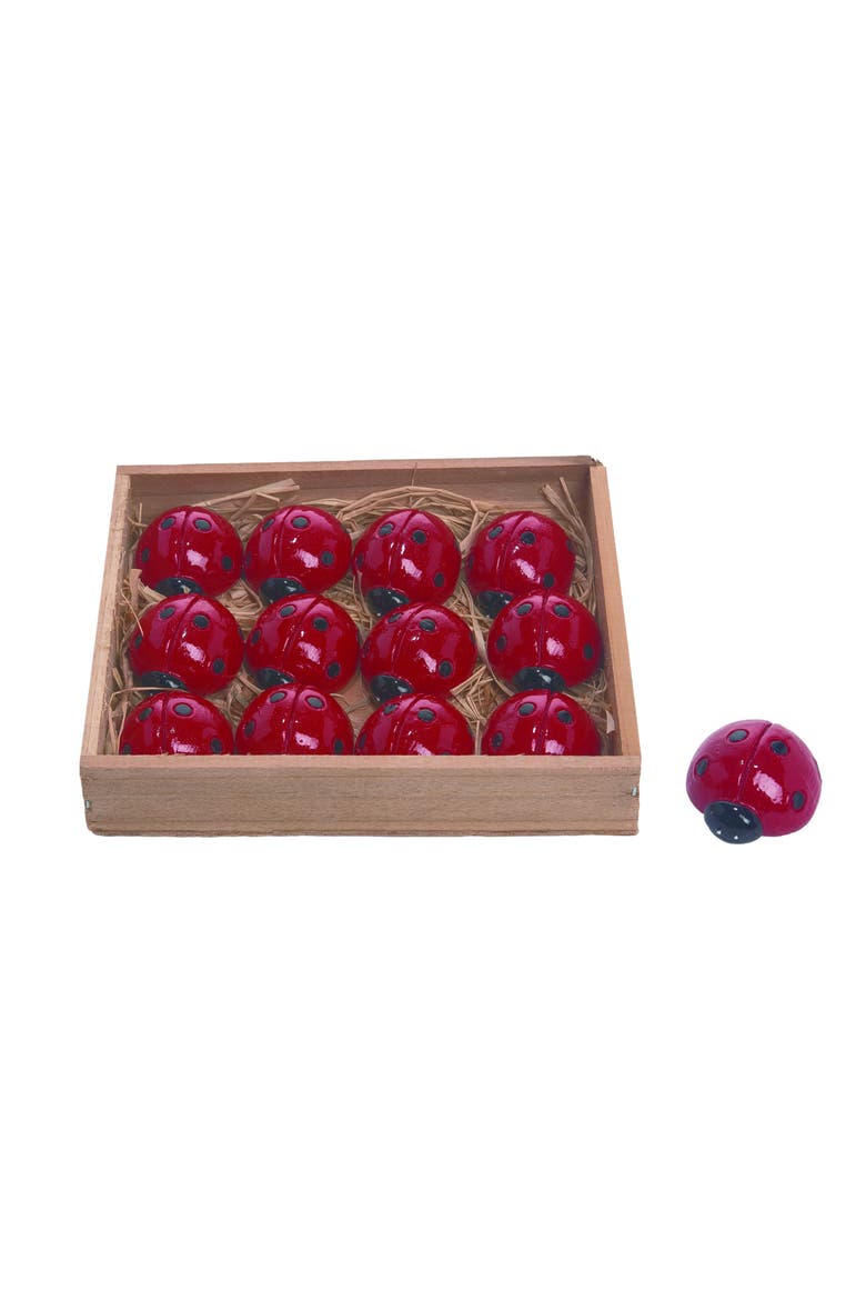 Resin 6 in. Multicolor Spring Ladybugs In Box Set of 12, Main, color, Red