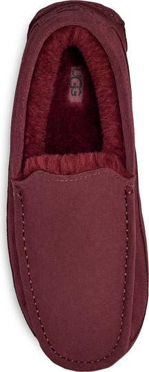 Ascot Slipper