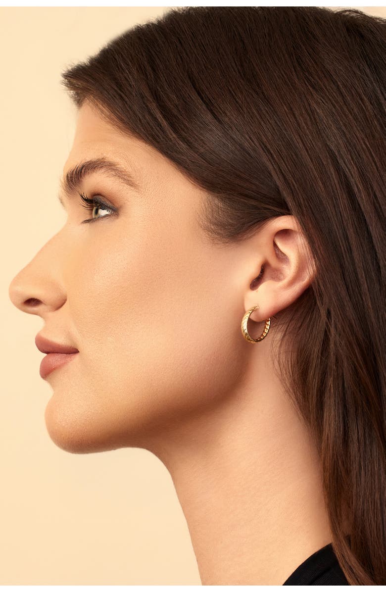 Oradina 18k Gold Cobra Oval Hoops, Alternate, color, 