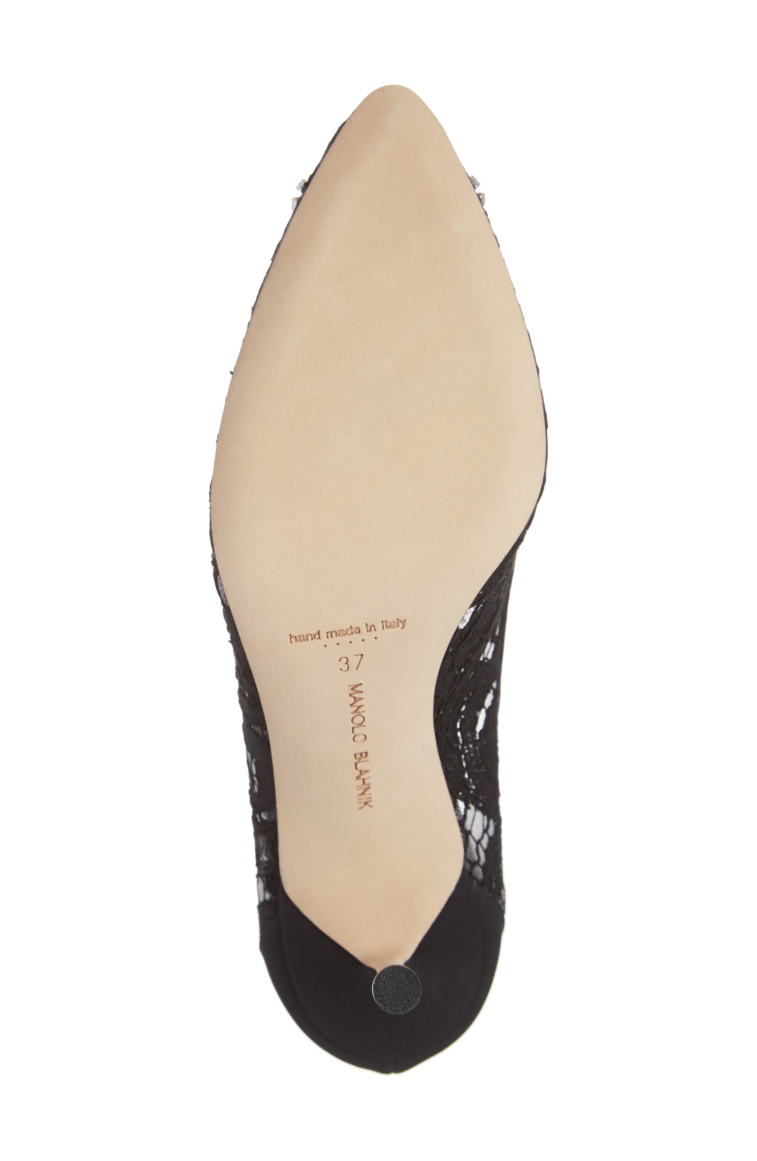 Manolo Blahnik Hangisi Pointed Toe Pump, Alternate, color, 