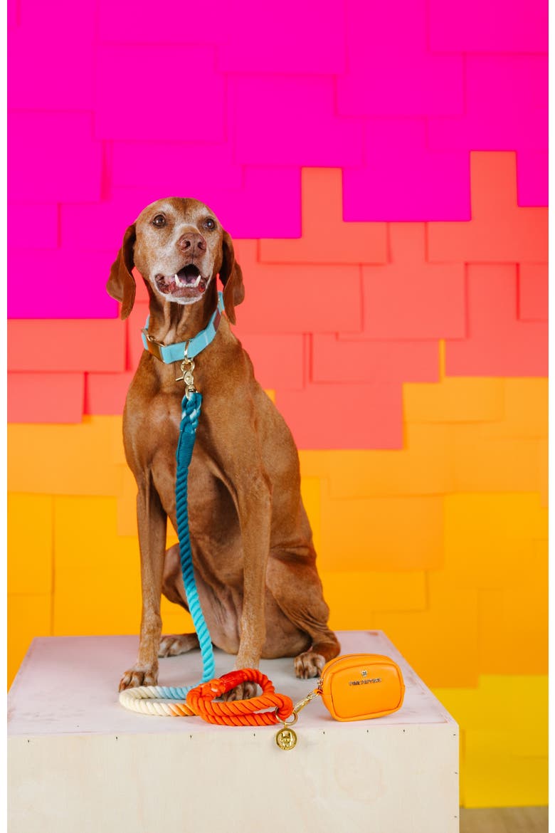 Perry Dog Collar, Alternate, color, Perry