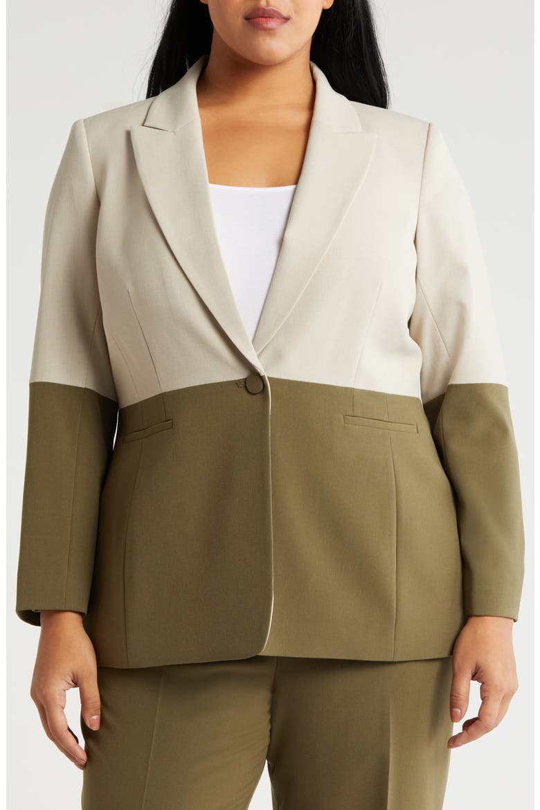 Colorblock Blazer, Alternate, color, SAND LODEN
