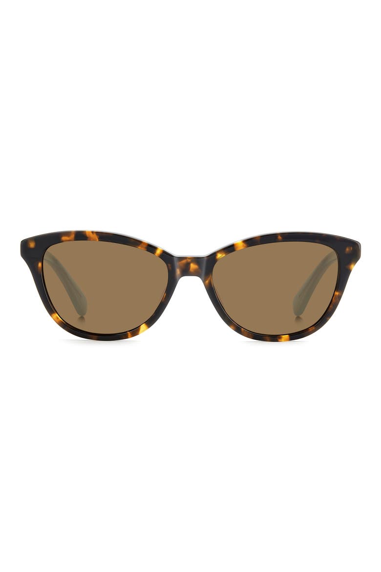 Tayla 55mm Sunglasses, Main, color, HAVANA/ BRONZE