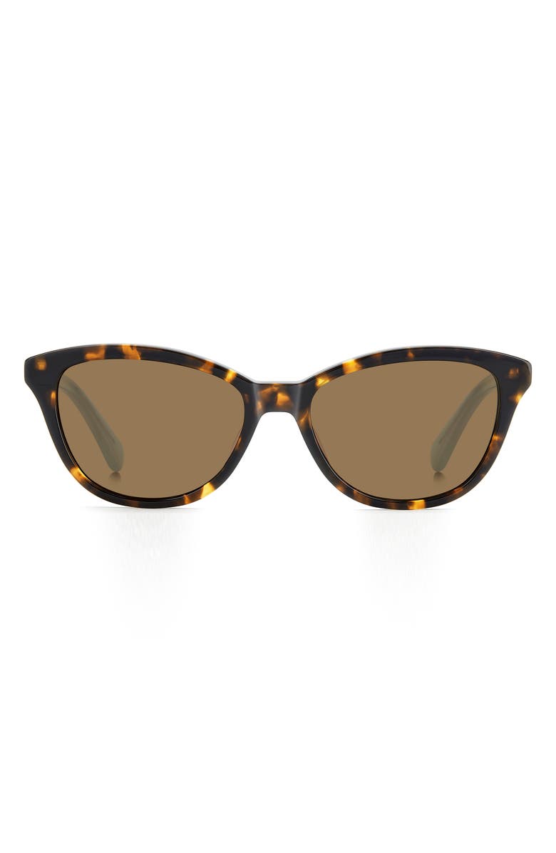 Kate Spade New York Tayla 55mm Sunglasses, Main, color, Havana/ Bronze