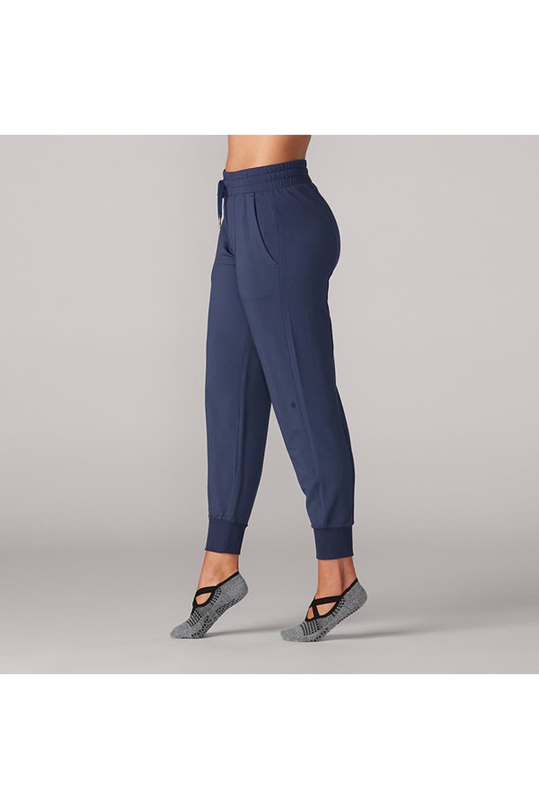 Cozy Jogger, Alternate, color, NAVY