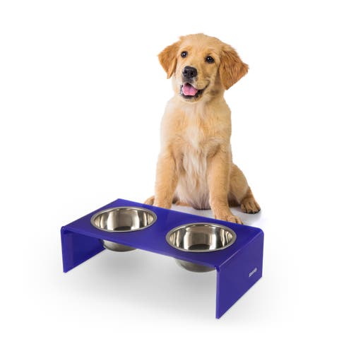 Keaton Modern Lucite Rectangular Elevated Pet Feeder with 2-Stainless Steel Bowls